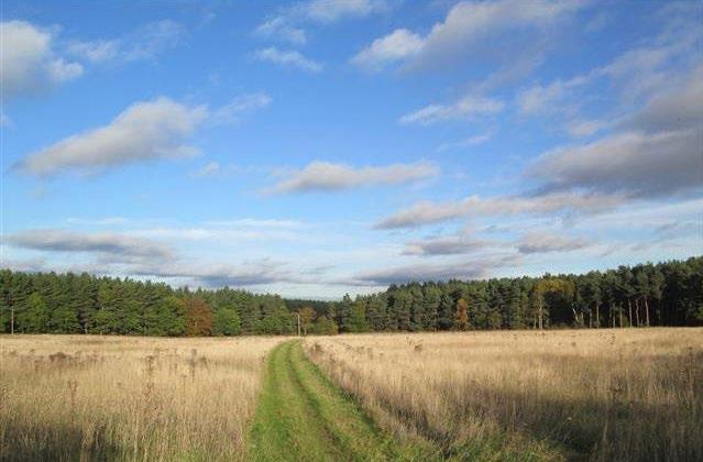 Land to the North of Clumber Road Clumber Park Nottinghamshire S80 3BH DEVELOPMENT OPPORTUNITY - FOR SALE n Excellent location on the edge of Sherwood Forest n