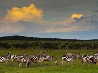 Expect the extraordinary andbeyond Grumeti Serengeti Tented Camp Serengeti Western Corridor, Tanzania Day 1-3 A member from our andbeyond team will collect you from Arusha Town Hotels and drive you