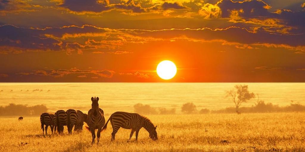 CONNECTING THE WORLD TO AFRICA Key Tours International is making preparations to offer the finest and best coordinated African Heritage Tours.