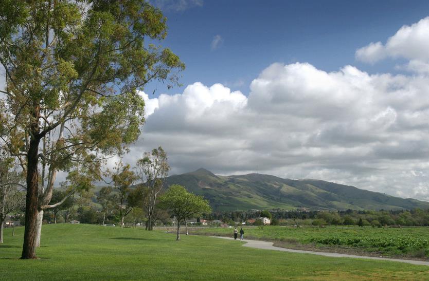 Fremont Grove (Reference Goggle Images view of Mission Peak from Fremont Central Park Wikipedia the free encyclopedia) Fremont Grove was named after Fremont a city in Alameda County in the state of