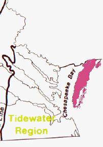 The Coastal Plain (Tidewater) contains the Eastern Shore.