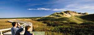52 53 Greenwich Dunes Trail weekly bird-watching activities led by experienced interpreters. Checklists are available at visitor centres, campgrounds, and entrance kiosks.
