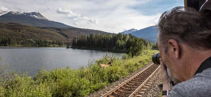 Follow in the footsteps of 19th-century explorers, passing Craigellachie where the last spike on the Canadian Pacific Railway was placed, and on through the Spiral Tunnels.