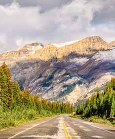 Your guided tour will also include an interpretive tour of Lake Louise, Takakkaw Falls (weather permitting), and Kicking Horse Canyon.