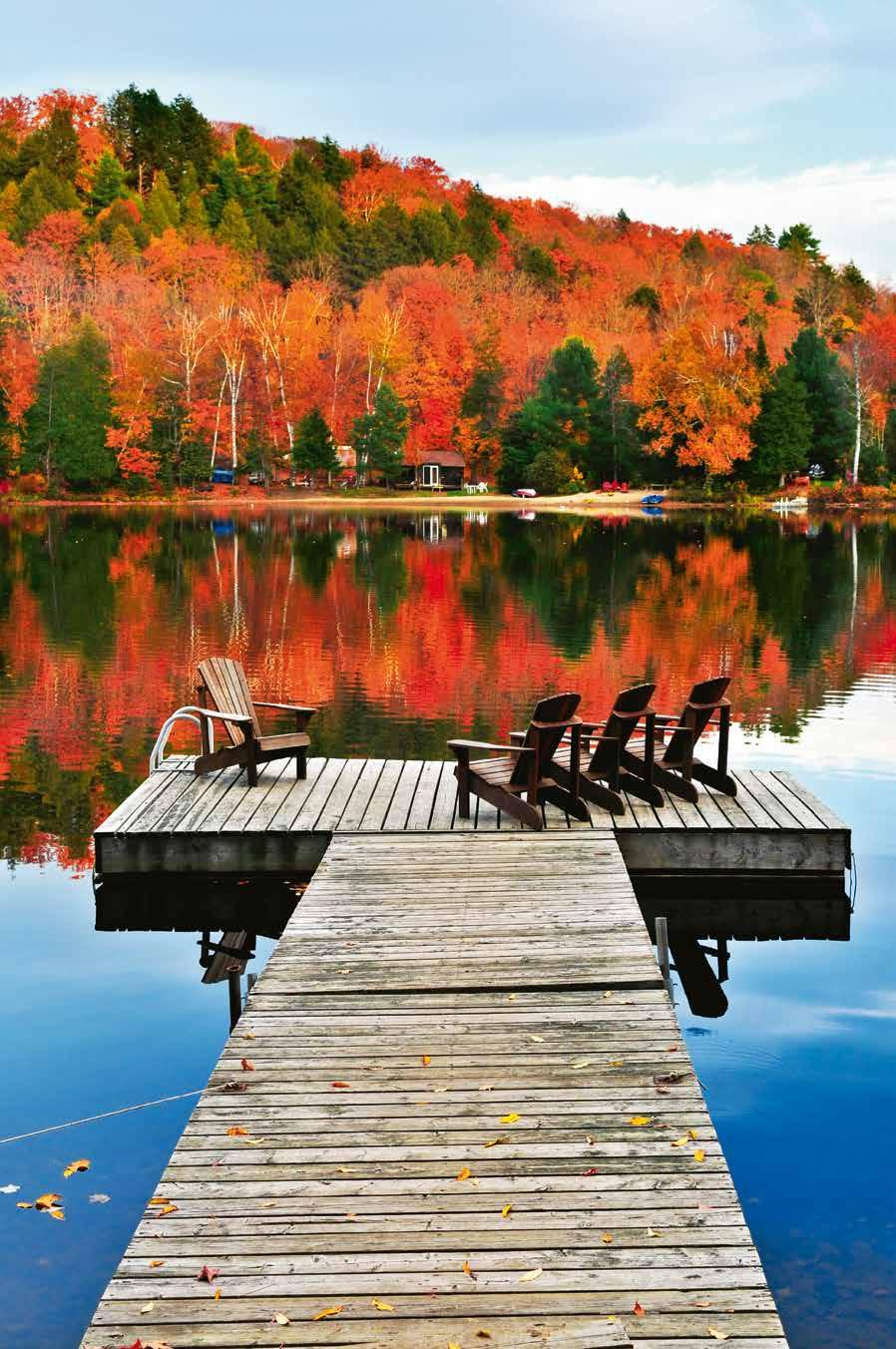 XXXXXXXXXX Autumn colours, Algonquin Provincial Park heritage-listed old town or pre-book a guided tour of the city.