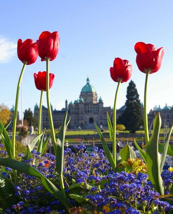 DAY TOUR TO VICTORIA BY FLOATPLANE & PRIVATE CAR 7 HOURS This private sightseeing tour of the City of Blooms begins with a private transfer to the Vancouver floatplane terminal for your scheduled