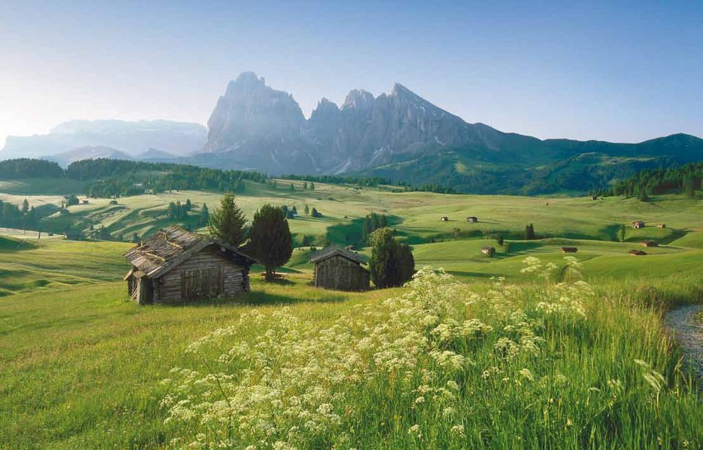 6 7 NESTLED WITHIN A NATURE PROTECTION AREA The profound effects of altitude are clearly evident at the Seiser Alm.