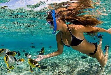 moments. Snorkeling you will get to know the impressive marine life in our coral reefs.