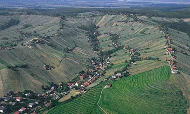 Figure 20: Lendavske gorice is an elongated settlement in the hills of the same name on the border with Hungary.