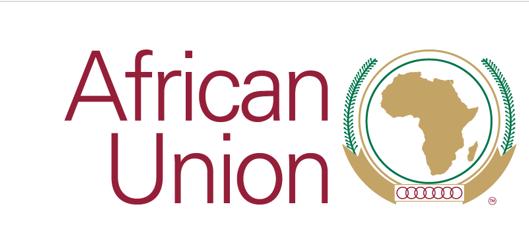Interventions championed by the African Union through AFCAC. In order for African aviation to prosper, the industry must be regulated in a way that will allow it to achieve its full potential.