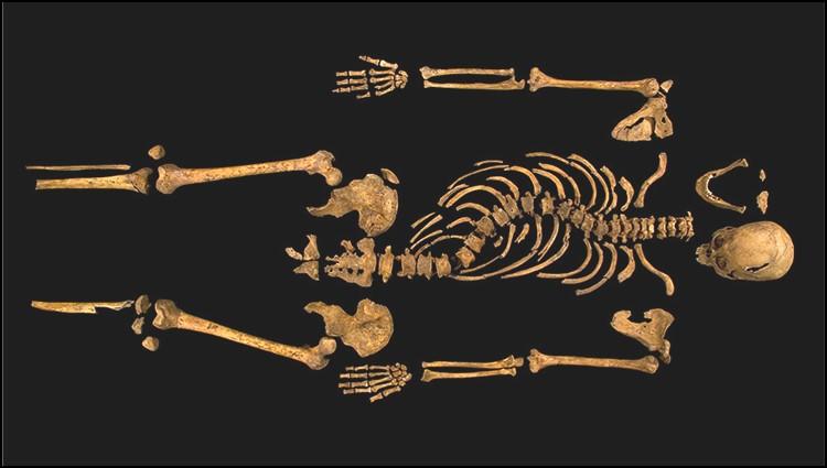 They share in one of the greatest archaeological detective stories ever told which features the first-ever genome sequencing of ancient DNA The exact place where Richard s remains were buried has