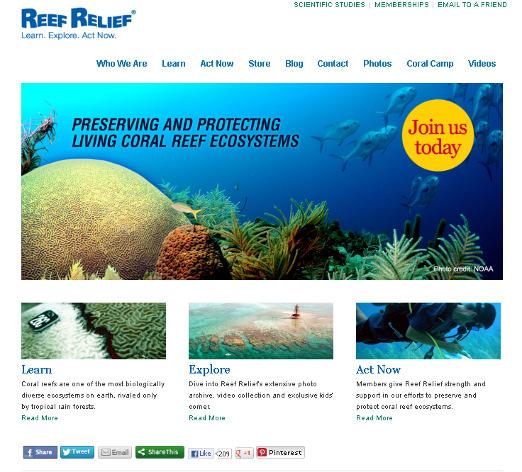 org that posts the Reef News monthly, scientific studies, educational resources, and other coastal and marine resource news. The site is viewed by over 5,000 visitors each month.