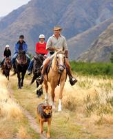Walter Peak Horse Treks Mavora High Country Tours Cruise on the TSS Earnslaw and then explore the picturesque Mavora Lakes.