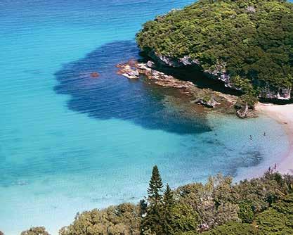 UP TO OCEANVIEW ROOM UPGRADE HALF PRICED DEPOSIT ONBOARD CREDIT # FREE SOFT DRINKS PACKAGE BONUS MYSTERY SHORE TOUR ON CRUISES OF 7 NIGHTS 8 Nights 699 Cruise: Sydney, Noumea, Lifou, Mare, Sydney