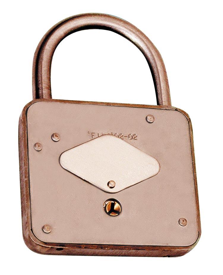 Accessories for fibreglass doors Series PTE/LC PADLOCK for CIRCUIT BREAKERS and CONTROL BOARDS Article code: L226712K Overall dimensions 85 128 18 Stainless-steel U-bolt X 10 Cr Ni S 1809 UNI 6901.