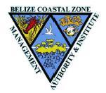The Coastal Zone Management Authority and Institute (CZMAI), whilst not legally responsible for the West Indian manatee, is responsible for planning in the coastal zone in Belize.