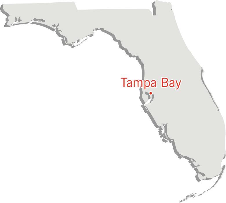 , TAMPA MSA, AND BRANDON OVERVIEW OVERVIEW ECONOMY Florida s economy has undergone a metamorphosis over the past decade, shifting from the tourism industry to the high technology, life sciences,