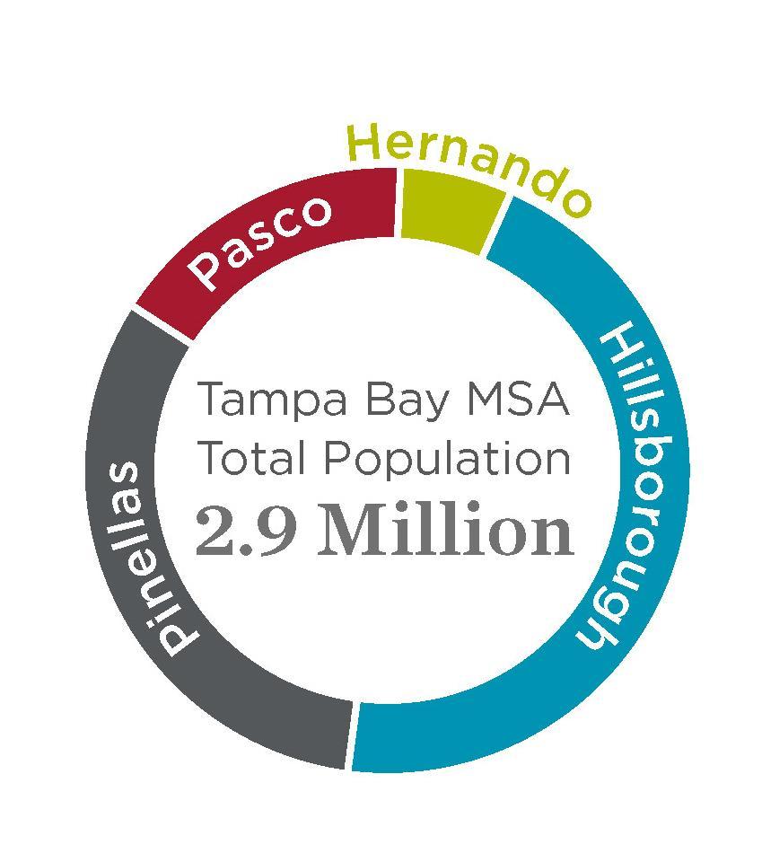 , TAMPA MSA, AND BRANDON OVERVIEW TAMPA BAY MSA OVERVIEW The Tampa Bay MSA (Metropolitan Statistical Area) is on Florida s West Coast and is composed of Hillsborough, Pinellas, Pasco and Hernando