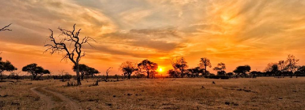 ZIMBABWE Hwange National Park DESCRIPTION Hwange National Park is the largest National Park in Zimbabwe. The park has an extension of almost 15.