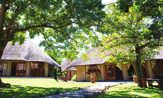 For a conference with a difference, Mpongo offers tranquil surroundings, intimate venues