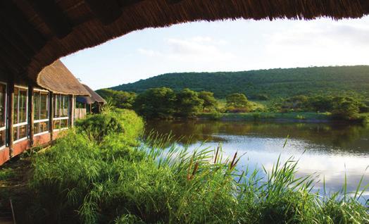 The beautiful and stylish game lodge restaurant is strategically built next to the Mpongo hippo waterhole, where guests can enjoy an afternoon meal while watching the hippos lingering in the water