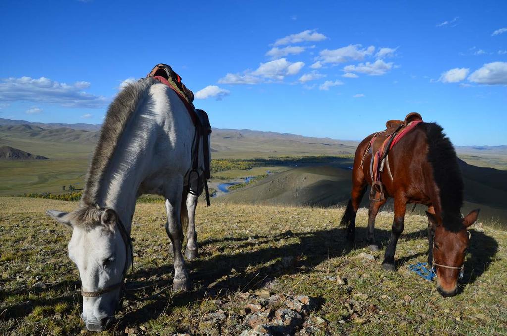 HORSE TREKKING One of the last travel frontiers, Mongolia is vast, remote and incredibly beautiful.