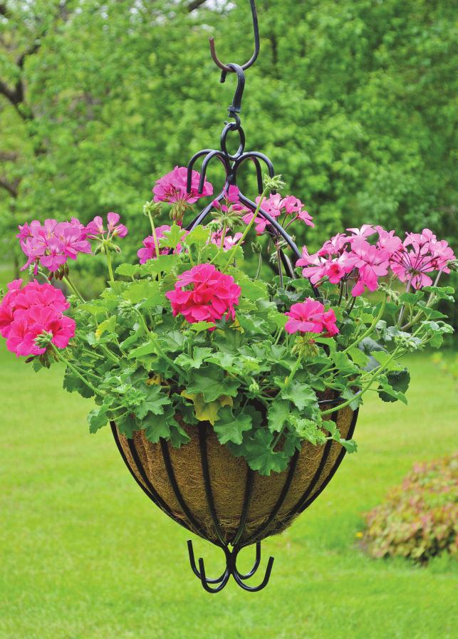 271 2" high overall x 43" across overall. Use with London Baskets (as shown above) or with our other selections of hanging baskets.