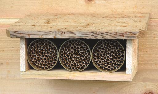 INSET ABOVE: A busy Mason Bee working on her nest tubes. Dia 16.0 x 2.5 mm TUBE 30 x 4.