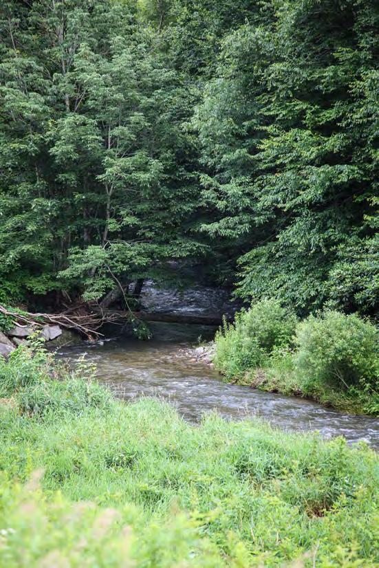 Study Area Three major river basins originate in the Town of Blowing Rock: the Yadkin, Catawba, and New River.
