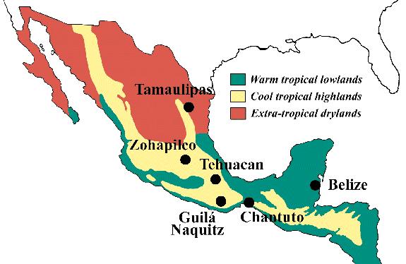 Describe the climate in the lowlands of Central America and the Caribbean.