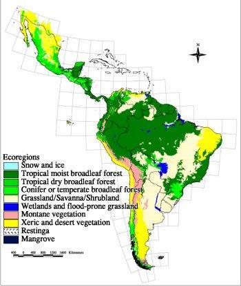 Why do the Andes and the Pampas have a wide range of ecosystems?