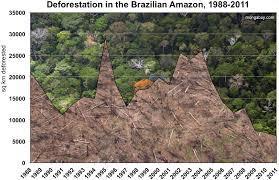 What is the major way Brazilian government is defending the rain forest?