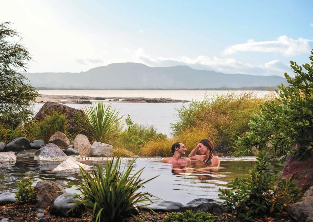 Rotorua argentina Market information about our