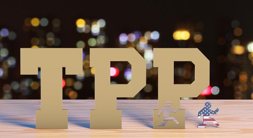 3 2. US DISAVOWAL OF THE TRANS- PACIFIC PARTNERSHIP One of the hottest talking points surrounding trade in the Asia Pacific region has been the Trans-Pacific Partnership (TPP) a deal that aims to