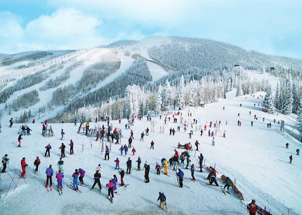 Skiers enjoy living in the Mountain states. All of the Mountain states have ski areas. National parks and forests cover much of the land. People visit these places to hike, boat, fish, hunt, and ski.
