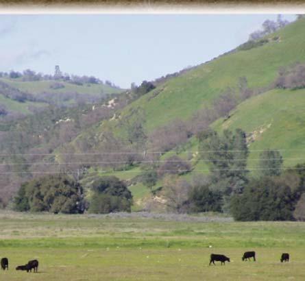 Deer Valley Ranch has traditionally been utilized for cattle grazing and some dry land farming.