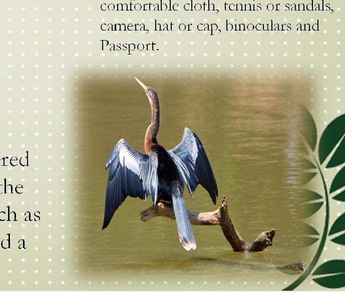 Rate $65 The Caño Negro wildlife refuge is considered one of the richest sites in the country for the observation of birds and