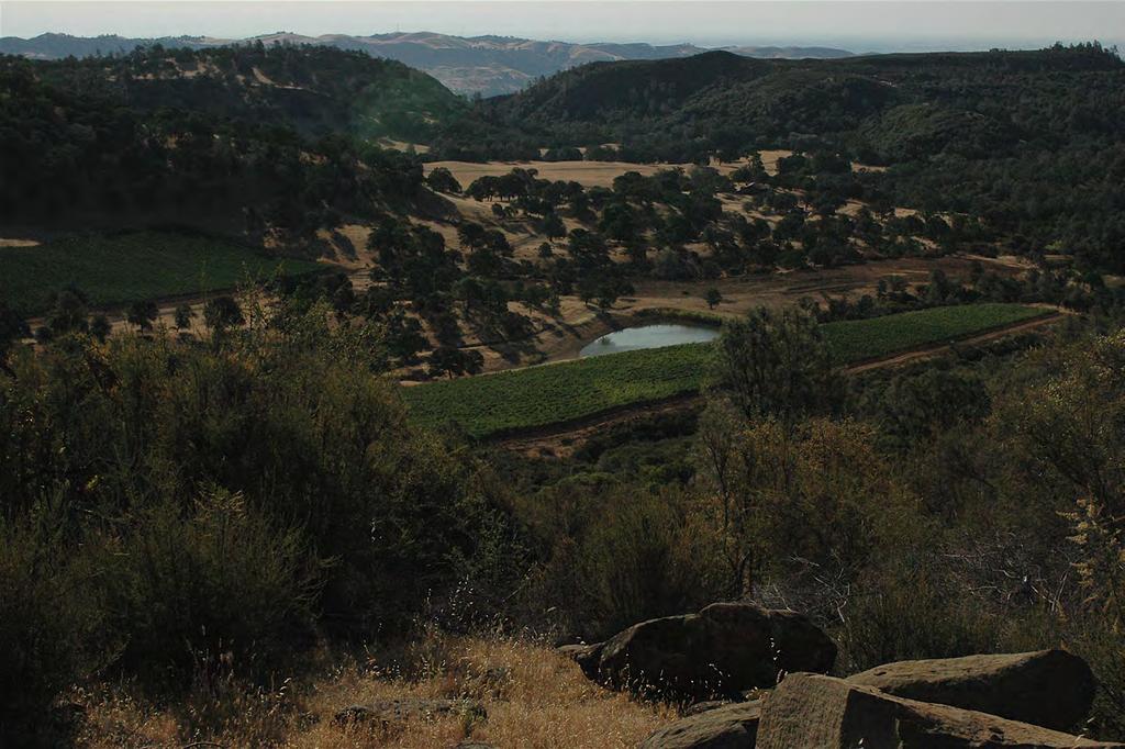 Casey Flat Ranch 5,250± acres in Guinda, California Vineyard Cattle Recreation For Sale $10,500,000 Casey Flat Ranch is one of Northern California s hidden gems located in the mountains along the