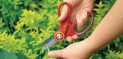 accurately and with the minimum of force Our grass shears have long been recognised for their high quality design and excellent cutting performance, but we
