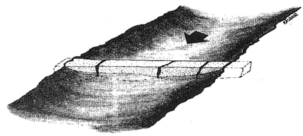 Figure 6. A check dam constructed across a shallow channel. The arrow indicates the direction of water flow.