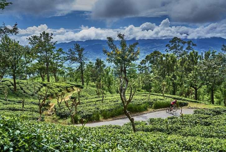 Sri Lanka - Sri Lanka Spice Trails Bike Tour 2018-2019 Guided 12 days / 11 nights Sri Lanka conjures up images of tea plantations, cool highlands, and ancient cities and tropical beaches, all of