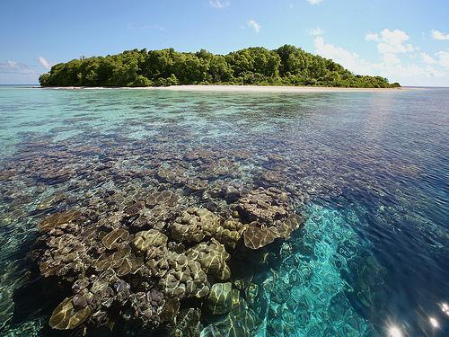 Representing some 5% of the global reef area 21,000 SqKm of reefs are home to 250