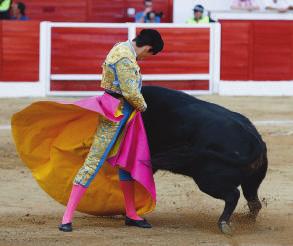 discover Spain is to discover "the culture of the bull", to go deep into its roots and know