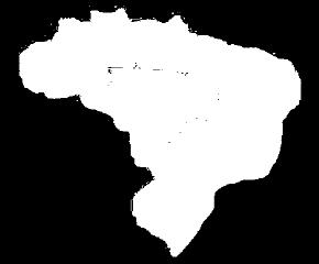 53% Distribution by Segment Rio de Janeiro 17,80% Other states 15,72% Travel