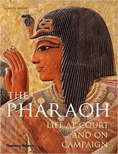 Study Hints Because much of the content is both obscure and difficult Use the Reading Guide to study only one chapter at a time. Develop a general chronology of Egyptian history.