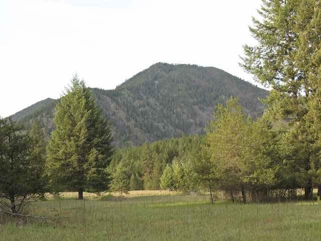 $62,500 MLS #807676 Lot 2 Steep River Ranch, Thompson Falls, 59873 Additional Documents: