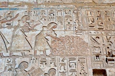 SD-CP-SS-23 In this scene from the mortuary temple of Ramesses III at Medinet Habu, scribes are counting the several hands of which of the following? A. Enemies killed in battle B.