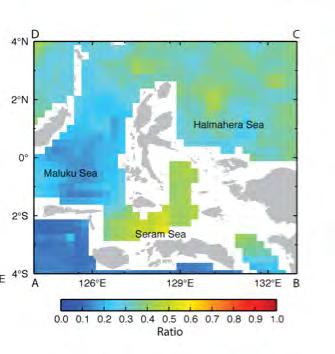 HYCOM the surface currents in the Halmahera/Seram Seas display strong intraseasonal (<90 days) fluctuation, with subject to periods of strong surface currents, 2-3 knot, probably extending through