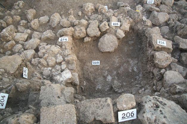 W225 (L220 was an attempt to expose the corner between the two walls) and the layer below them contained ashy material mixed with burnt mudbricks and some MBIIb sherds (L223) (Fig. 19).