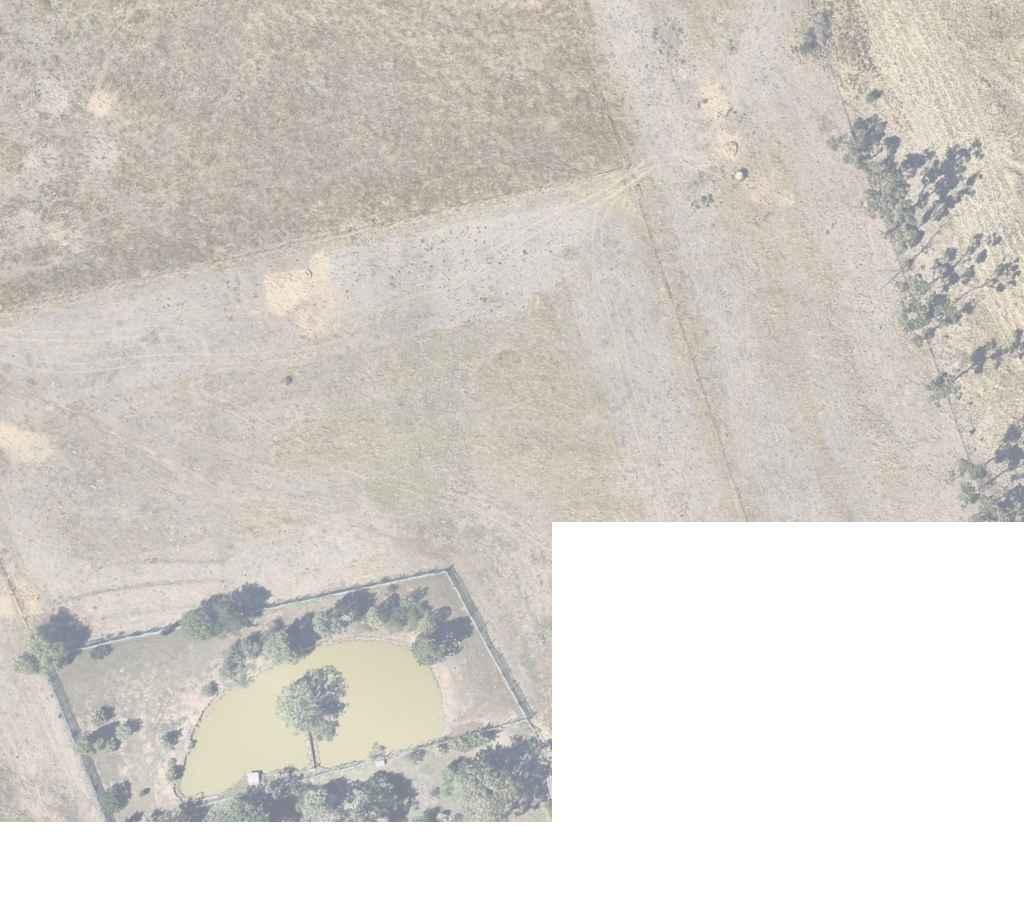 SUNBURY SOUTH PSP PLANNING PANEL SUNBURY ROAD/ LANCEFIELD ROAD Cardno Limited does not and shall not 59. 213 meters : 2.